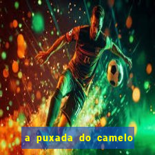 a puxada do camelo no jogo do bicho