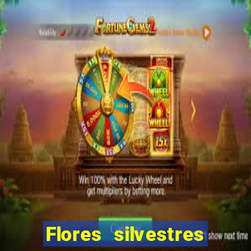 Flores silvestres brasileiras 25