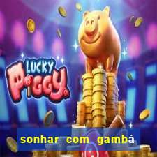 sonhar com gambá jogo do bicho