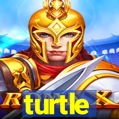 turtle-ty.com